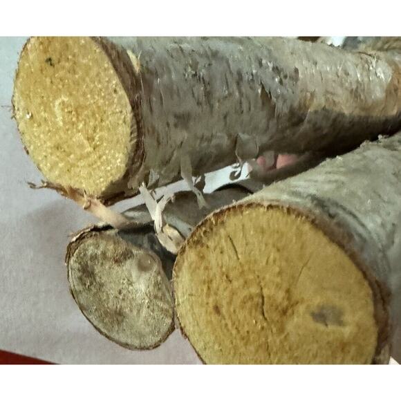 Birch Wood Log Bundle Holiday Set Of 3 (16 Inches) Ashland Floral Arranging - Picture 8 of 9